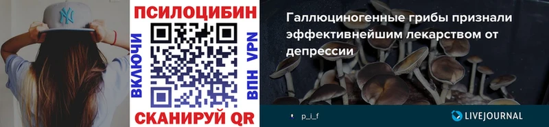 гидра зеркало  Шебекино  Галлюциногенные грибы MAGIC MUSHROOMS 