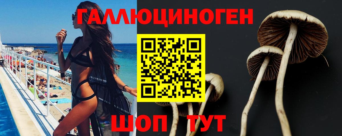 Галлюциногенные грибы мицелий  Галлюциногенные грибы Psilocybe  Вход с VPN  Шебекино 
